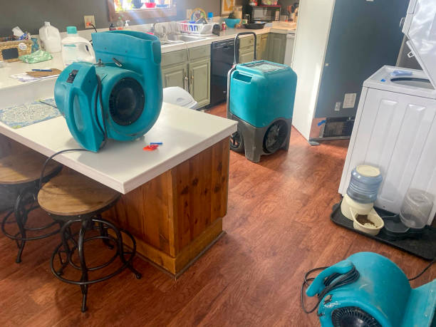Best Water damage restoration experts  in Carbon Hill, AL