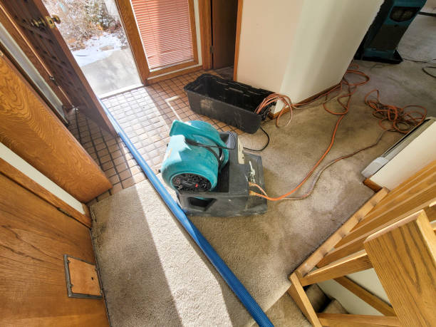 Best Water damage cleanup near me  in Carbon Hill, AL