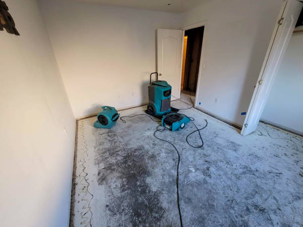 Best Water damage restoration near me  in Carbon Hill, AL