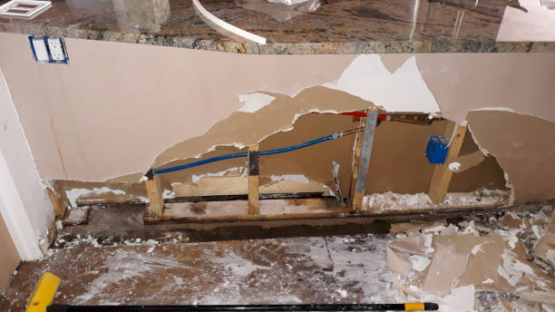  Carbon Hill, AL Water damage restoration Pros