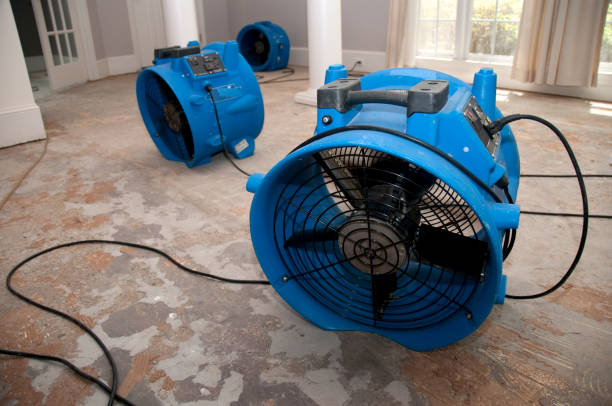 Best Commercial water damage restoration  in Carbon Hill, AL