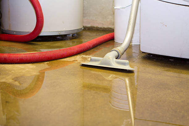 Best Sewage cleanup and water damage restoration  in Carbon Hill, AL