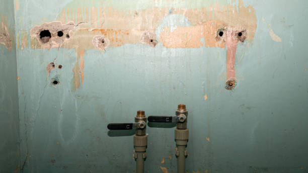 Best 24-hour water damage restoration  in Carbon Hill, AL