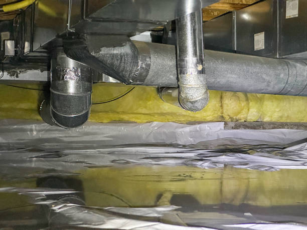 Best Residential water damage restoration  in Carbon Hill, AL