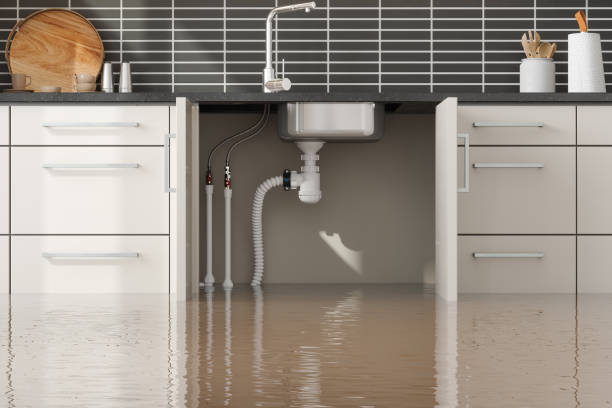 Best Water damage contractors near me  in Carbon Hill, AL