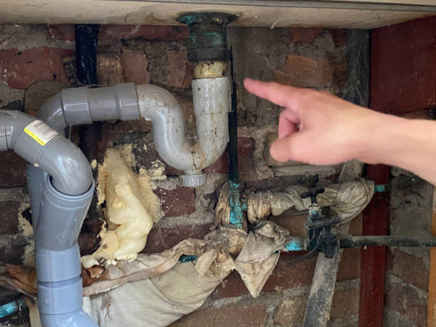 Best Water damage restoration near me  in Carbon Hill, AL